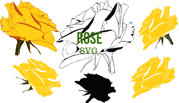 Rose SVG: A Designer’s Real-World Embroidery Review
